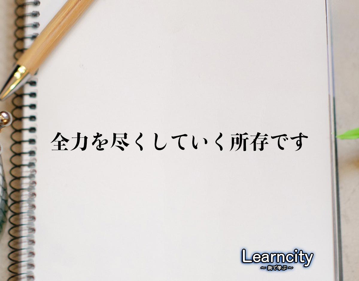 「全力を尽くしていく所存です」とは？