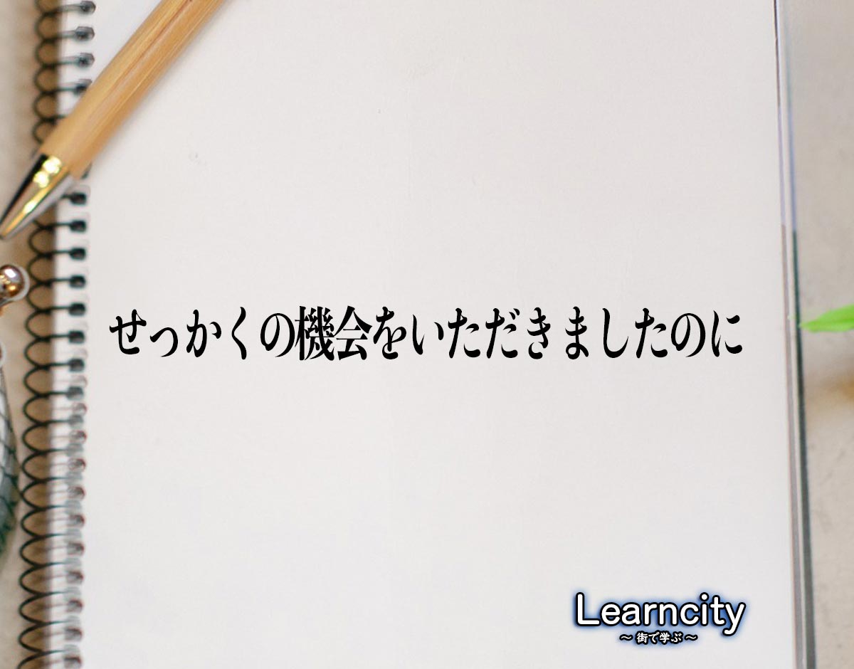 「せっかくの機会をいただきましたのに」とは？