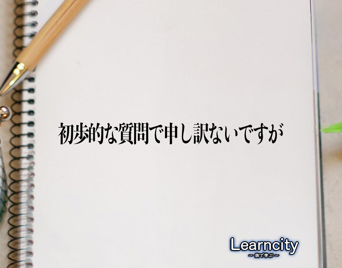 「初歩的な質問で申し訳ないですが」とは？