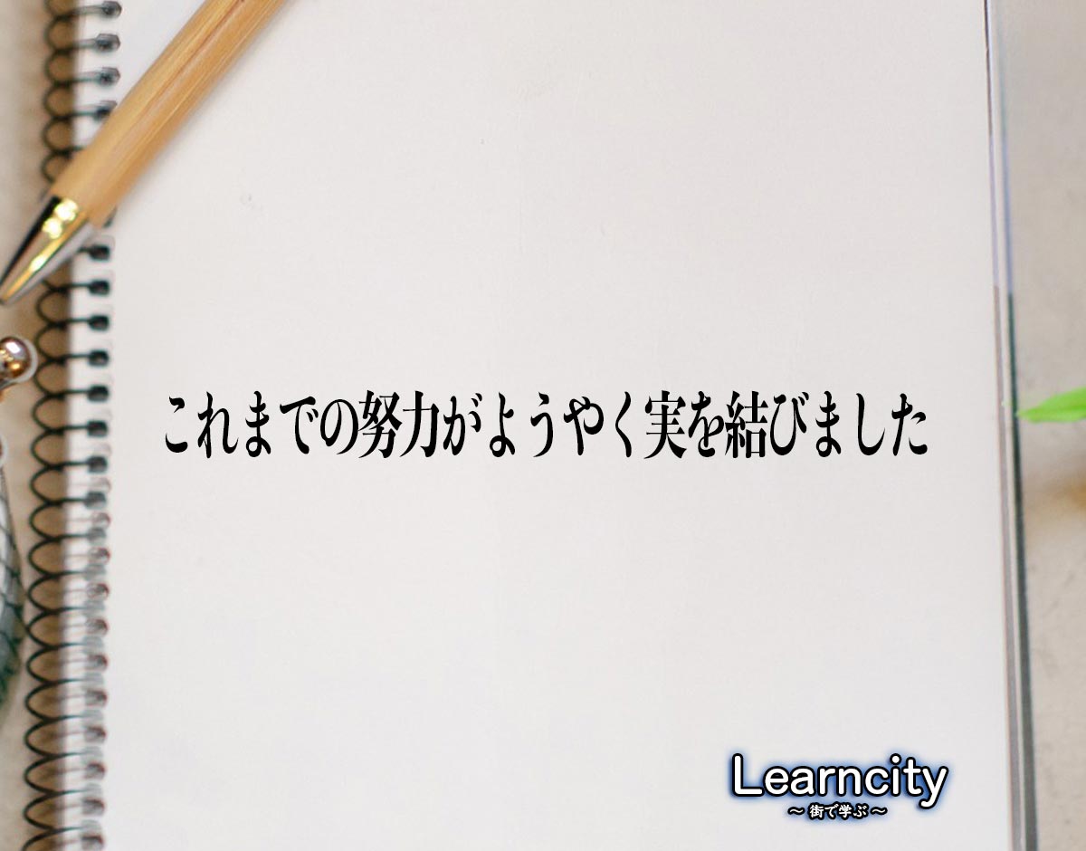 「これまでの努力がようやく実を結びました」とは？