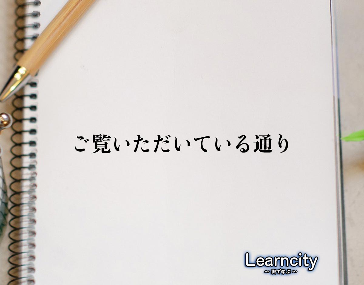 「ご覧いただいている通り」とは？