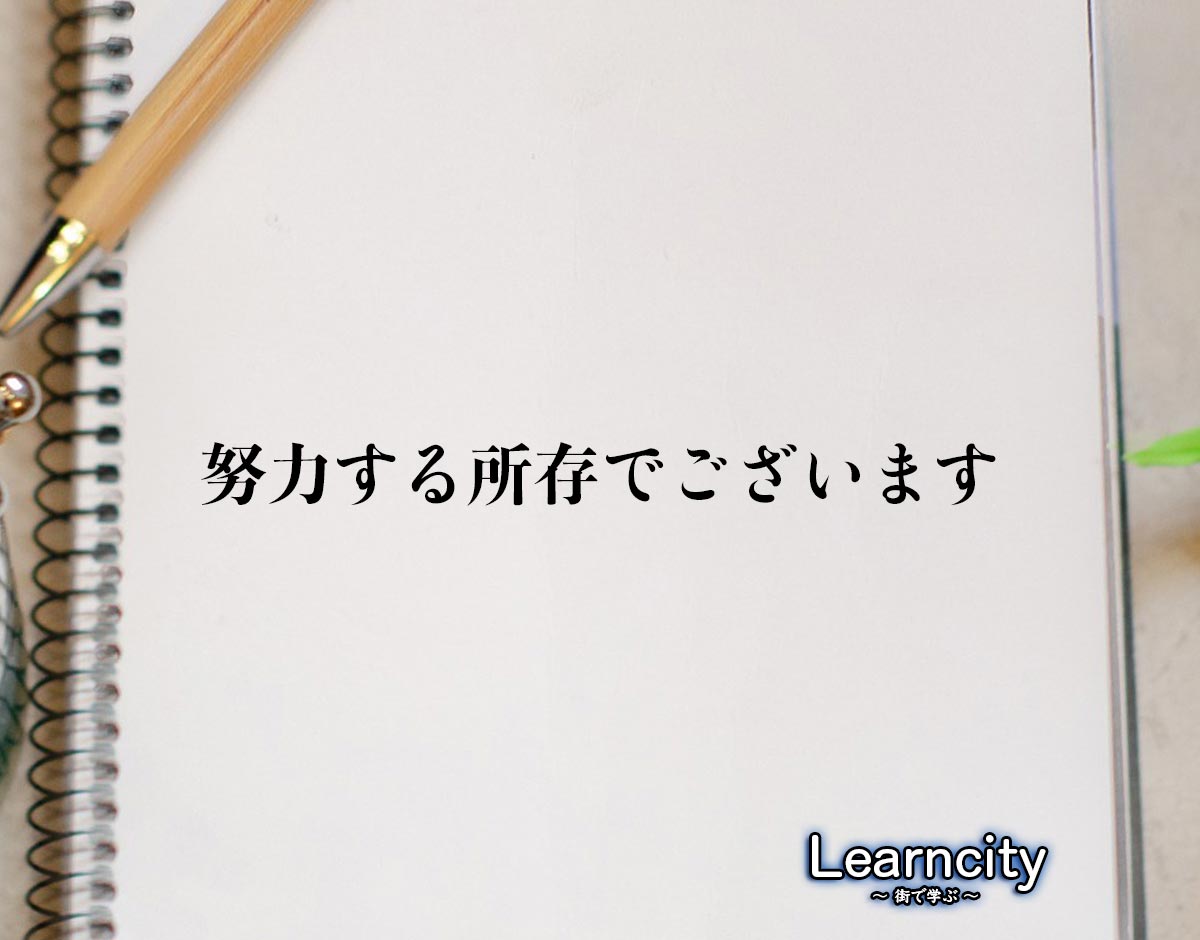 「努力する所存でございます」とは？