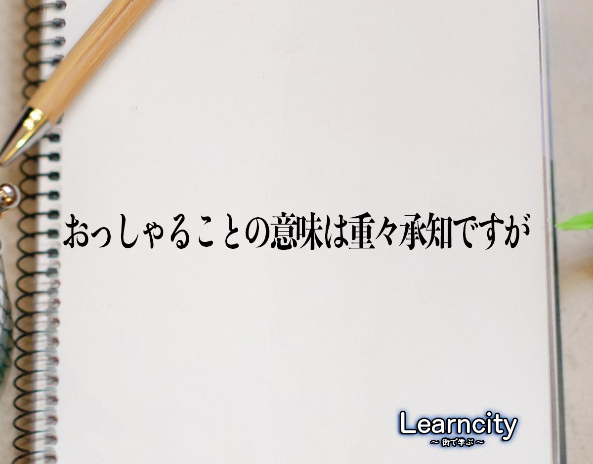 「おっしゃることの意味は重々承知ですが」とは？