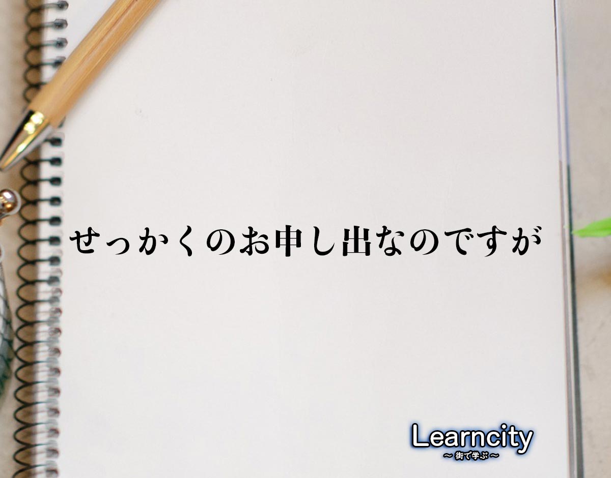 「せっかくのお申し出なのですが」とは？